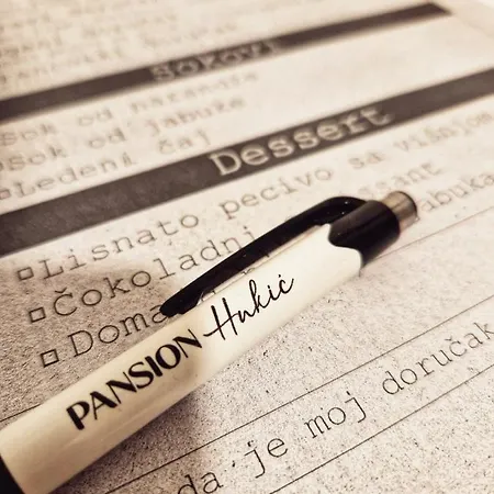 Pansion Hukic